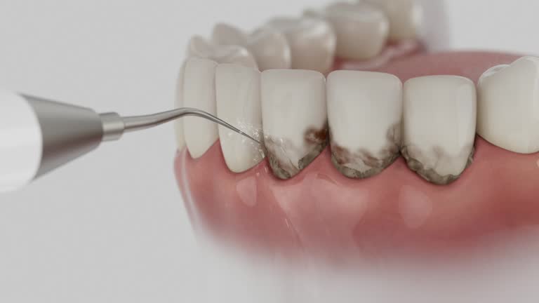 Reliable Dental contractor in Redland, MD by Dentist Open Now